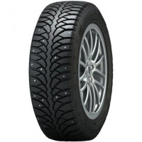 Шина Tunga Nordway 2 PW-5 205/60 R16 96Q