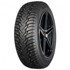 Шина Nankang SW-8 195/55 R15 89T