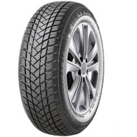 Шина GT Radial Champiro WinterPro 2 195/55 R16 91H